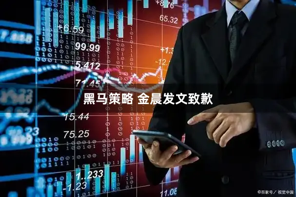 黑马策略 金晨发文致歉