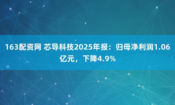 163配资网 芯导科技2025年报：归母净利润1.06亿元，下降4.9%