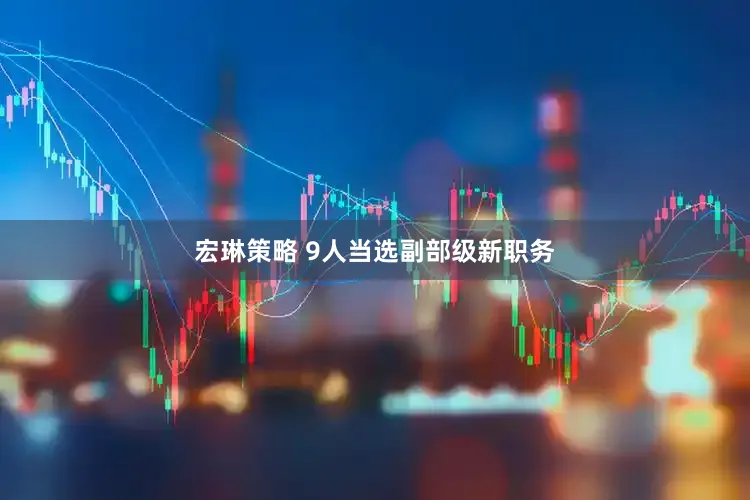 宏琳策略 9人当选副部级新职务