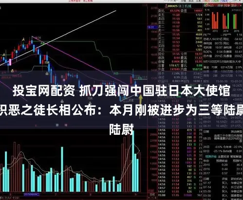投宝网配资 抓刀强闯中国驻日本大使馆积恶之徒长相公布：本月刚被进步为三等陆尉