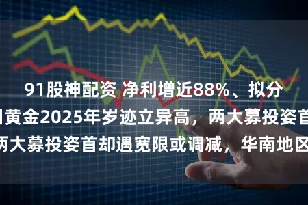 91股神配资 净利增近88%、拟分成超2亿元！四川黄金2025年岁迹立异高，两大募投姿首却遇宽限或调减，华南地区“零营收”
