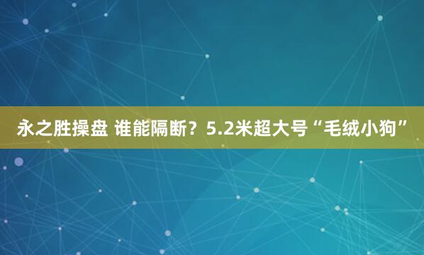 永之胜操盘 谁能隔断？5.2米超大号“毛绒小狗”