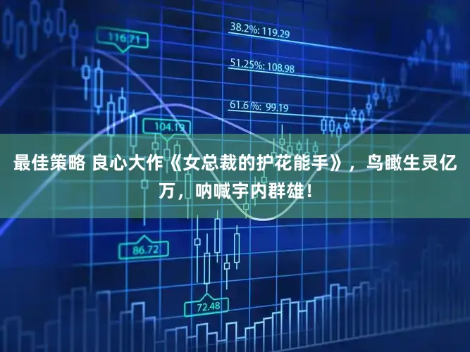 最佳策略 良心大作《女总裁的护花能手》，鸟瞰生灵亿万，呐喊宇内群雄！