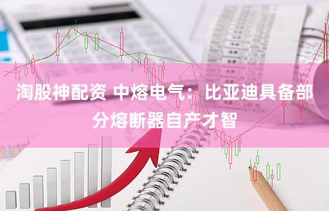 淘股神配资 中熔电气：比亚迪具备部分熔断器自产才智